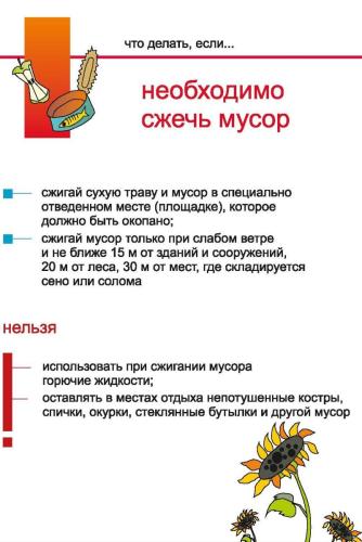 Сжигание-мусора